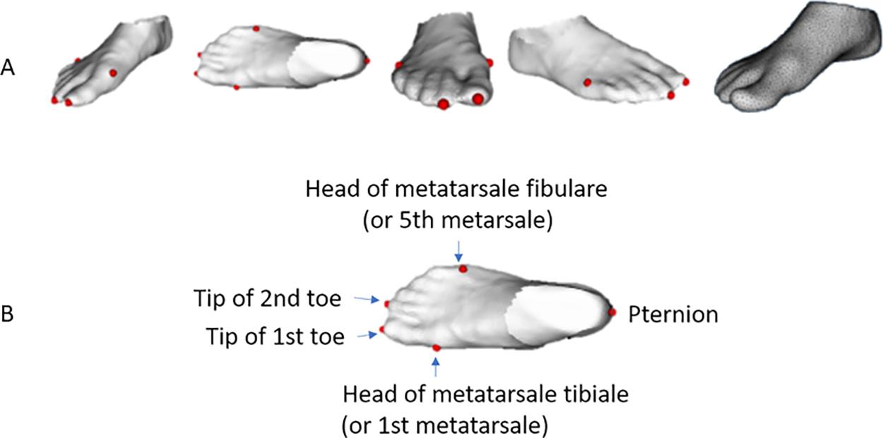 طلبات خاصة في عالم الذكاء الاصطناعي (نشر عام 2021)